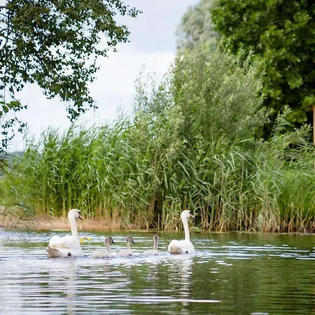 Camping Puhkekuela Ermistu