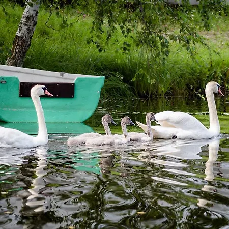 Campingplads Puhkekuela