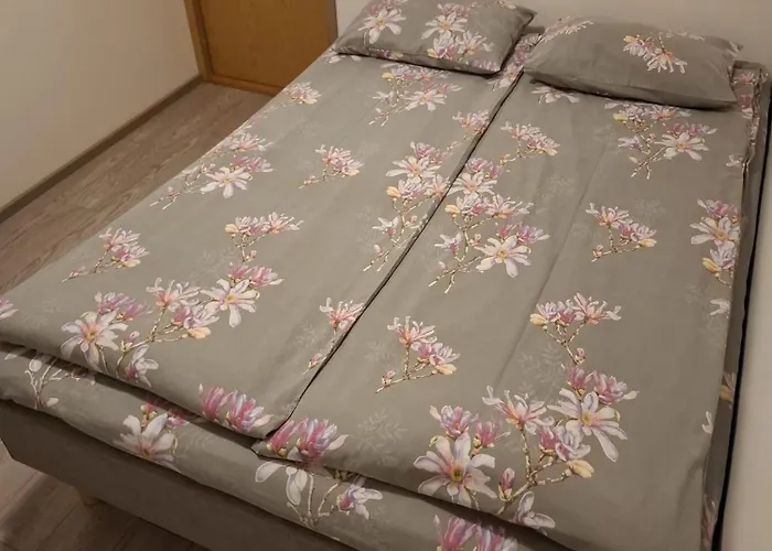 Puhkekuela キャンプ場 *