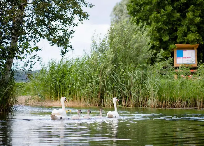 キャンプ場 Puhkekuela Ermistu