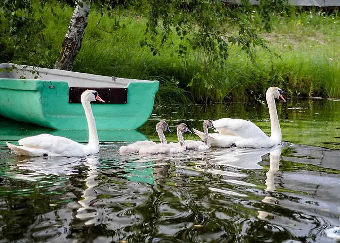 キャンプ場 Puhkekuela